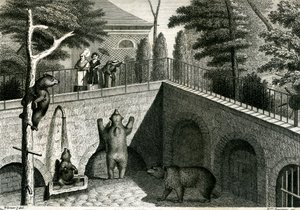 Bear den in a zoo by Jean Charles Werner