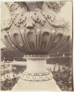 Versailles, Vase by Jean Eugène Auguste Atget