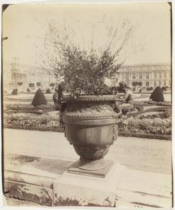 Versailles, Vase by Ballin by Jean Eugène Auguste Atget