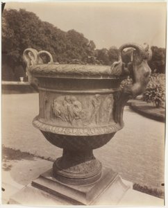Versailles, Vase by Ballin by Jean Eugène Auguste Atget