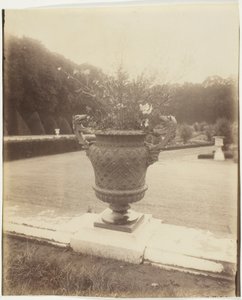 Versailles, Vase by Ballin by Jean Eugène Auguste Atget