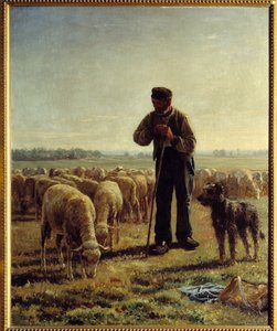 The Chicory Father