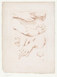 Composition with Arms, Nose, and Part of a Face by Jean Francois Janinet