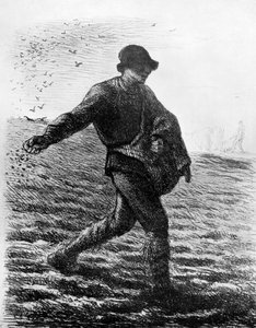 Le Semeur by Jean Francois Millet