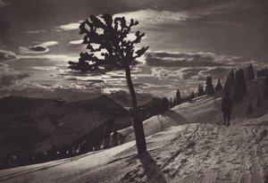 Rigi Kaltbad, Moonlit Night in Winter