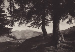 Rigi Staffel, Walking path near Staffel by Jean Gaberell