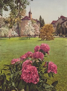 Switzerland: Mammern on the Lake of Constance, in the Grounds of the Sanatorium
