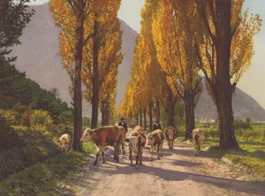Switzerland: The Rhone Valley Near Visp