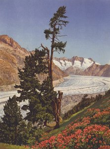 Switzerland: View of the Aletsch Glacier and the Fiescherhorner