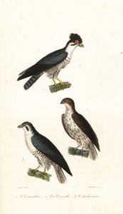 Unknown Image