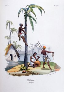 Chanar by Jean Henri Marlet