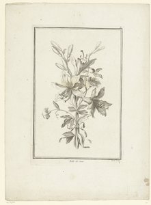 Bouquet with Lily (Belle de Jour) (IIe Cahier de Bouquets)
