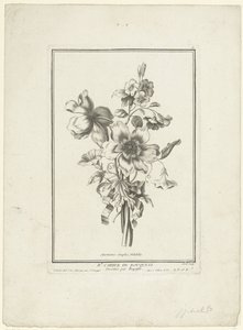 Bouquet of Anemone and Bindweed (title on object) Anemones simples, Volubilis (series title) IIe Cahier de Bouquets
