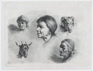 Study of Five Heads
