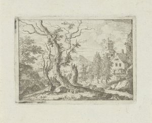 Three Dead Trees on a Hill