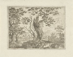 Landscape with a Broken Tree