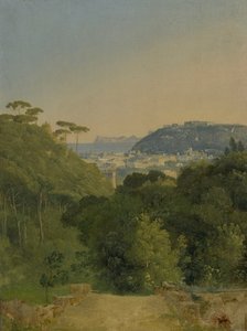 View of the Bay of Naples