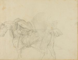 Horse Wearing a Blanket