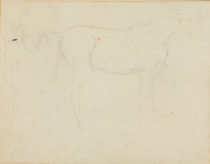 Sketch of a Horse Facing Right and a Caricature in Profile by Jean Louis André Théodore Géricault