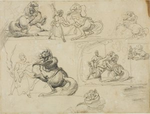 Studies