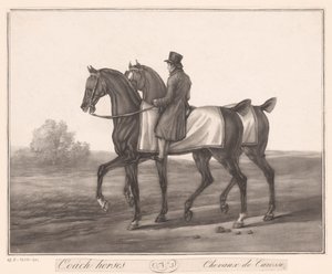 Rider Accompanies Two Horses (Carriage Horses)