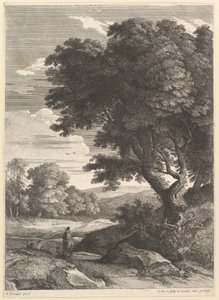 The Cavalier