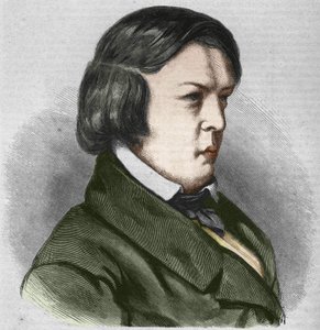 Robert Schumann, German Composer (Drawing by J.B. Laurens)