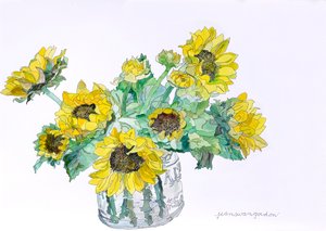 Sunflowers, 2007