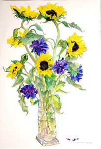 Sunflowers Asters