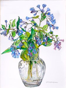 Virginia Blue Bells in Narrow Necked Vase, 2006