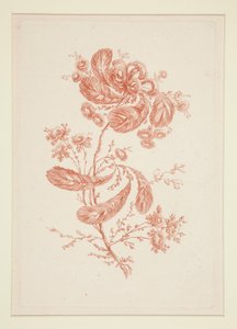 Untitled (Ideal Flowers) by Jeanne Deny