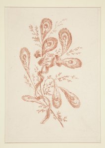 Untitled (Ideal Flowers), from a set of six by Jeanne Deny
