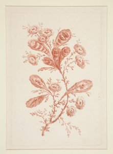 Untitled (Ideal Flowers), from a Set of Six by Jeanne Deny