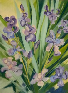 Irises in a Border
