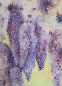 Wisteria Flowers by Jeanne Maze