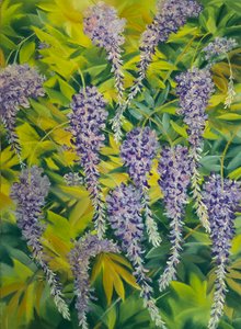 Wisteria Flowers & Foliage 1
