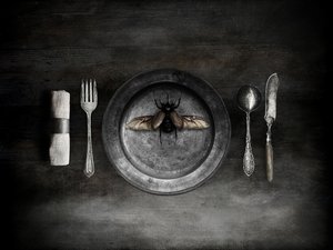 Unsettling Beetle Meal by Jeffrey Hummel