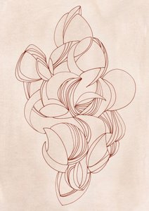 Elegant Flowing Curves by Jenja Braun