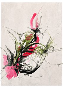 Vibrant Abstract Botanicals by Jenja Braun
