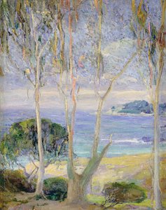 A Clear Day, California Coast by Jennie Vennerstrom Cannon