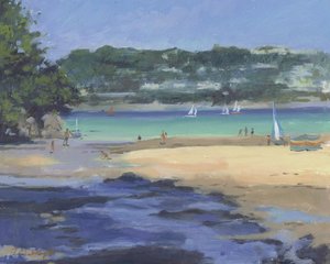 Salcombe Millbay Morning