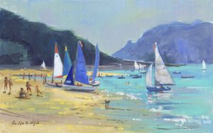 Salcombe Sailing Boats