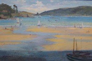 South sands Beach, Salcombe, 2016