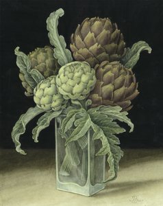 Artichoke by Jenny Barron