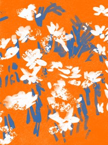 Mandarin Meadow by Jenny Frean