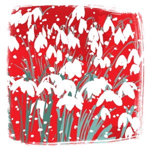 Snowdrops by Jenny Frean