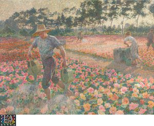 The Begonias (The Gardener)