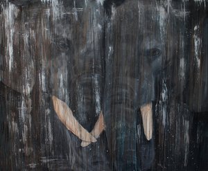 Elephants Deep Connection