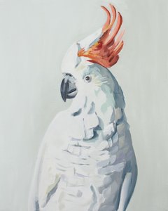 White Cockatoo by Jenny Westenhofer
