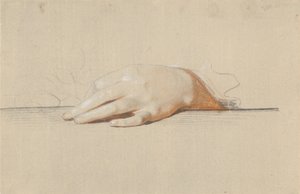 A Left Hand Resting on a Table, Holding a Rose